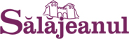 Salajeanul