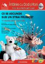 Ce se ascunde sub un strai frumos?