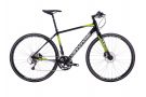 Bicicleta Este Inca Un Mister Stiintific: Iata De Ce
