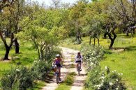 Pregateste-te de primavara – iata cum sa reiei mersul pe bicicleta ca un profesionist