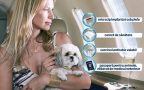 Cum sa iti aduci animalul de companie in strainatate, rapid, sigur, fara costuri mari?