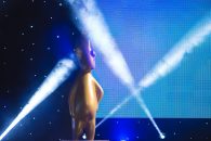 Gala Premiilor GOPO 2019, în exclusivitate, la Film Now și Digi24