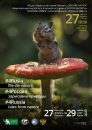 #4Rusia – file din natură