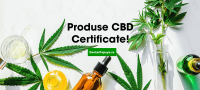 Uleiuri CBD de Canepa – 15% reducere in magazinul online DoctorPopeye.ro