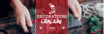 Nou! Decoratiuni de Craciun pentru Floristi pe Megapacking.ro
