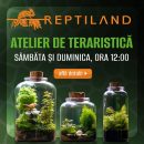 Ateliere de Teraristică pentru Copii @ Reptiland București