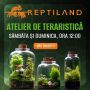 Ateliere de Teraristică pentru Copii @ Reptiland București