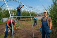 Clarificări privind discuțiile despre impozitarea solariilor în Codul Fiscal 2026. Bacas este alături de agricultorii din România și oferă informațiile certe disponibile la acest moment