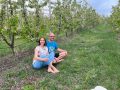 Secretul din spatele unei livezi de cireșe bio:  de la sol viu la agricultură regenerativă