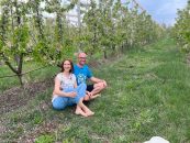 Secretul din spatele unei livezi de cireșe bio:  de la sol viu la agricultură regenerativă