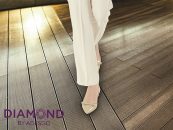 Vara aceasta se ‚poarta’ aloe vera