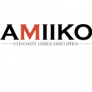 Top 5 curiozitati despre camioane!