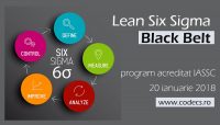 Curs Lean Six Sigma Black Belt