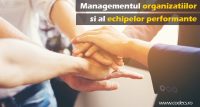Managementul Organizatiilor si al Echipelor Performante | Descopera ingredientele unei echipe de succes
