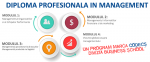 Alege calea spre un management de succes | Diploma Profesionala in Management