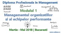 Managementul Organizatiilor si al Echipelor Performante | CODECS