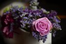 O grupă de viitori decoratori florali intră în atelierul Flori de lux în luna aprilie
