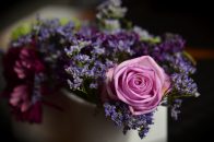 O grupă de viitori decoratori florali intră în atelierul Flori de lux în luna aprilie