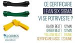 Certificare Lean Six Sigma | CODECS