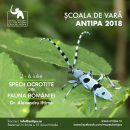 Specii ocrotite din fauna României