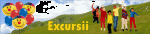 Excursii elevi- optimizarea serviciilor, confort si siguranta