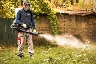 Servicii eficiente de deratizare si dezinsectie – DDD Nord