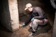 Deratizarea – cea mai rapida solutie de eliminare a rozatoarelor