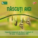 Născuți aici - Expoziție temporară de fluturi tropicali vii