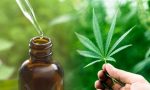 Uleiul CBD-un remediu naturist tot mai folosit si tot mai apreciat