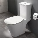Descopera oferta de vase pentru WC marca Ideal Standard