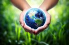 Groupe SEB și-a luat angajamentul de a combate emisiile de carbon