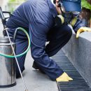 Protejeaza-ti casa si familia cu servicii de deratizare de cea mai buna calitate