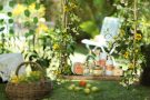 Păstrează parfumul verii cu noua colecție SABON CITRUS BLOSSOM !