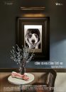 Teatrul Național „Marin Sorescu” din Craiova introduce  NAVETA CULTURALĂ pentru cea mai recenta producţie a regizorului Radu Afrim – spectacolul câine cu om. câine fără om