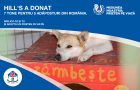 Campania #MisiuneaNoastraPrietenPeViata inițiată de Hill’s Pet Nutrition pentru susținerea adăposturilor de animale din România s-a încheiat