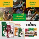 Brandul românesc Thank’Q, comunică pentru prima dată, alături de DDB România