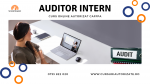 Curs Auditor Intern - Dezvoltă-ți Competențele în Auditul Intern!