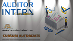 Curs online Auditor Intern