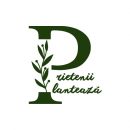 Prietenii Plantează peste 2000 de stejari alături de 20 organizații pe 26 noiembrie