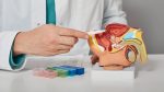 Uromexil Forte și cum te ajută acesta să scapi de bolile bărbătești ca prostatita
