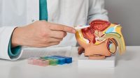 Uromexil Forte și cum te ajută acesta să scapi de bolile bărbătești ca prostatita