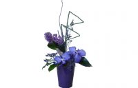 Tot ce trebuie să știți despre florile roșii, albe și albastre