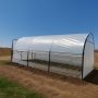 Startul sezonului de toamnă la solarii: cum își pregătesc fermierii culturile pentru iarnă și primăvară