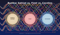 Bumbac satinat vs. finet vs. cocolino - Ce lenjerie de pat ti se potriveste?