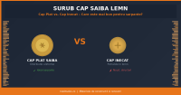 Surub Cap Plat vs. Cap Inecat - Care Este Mai Bun pentru Sarpante si Structuri din Lemn?