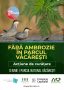 Ambrozia trebuie smulsă acum: apel la voluntari pentru acțiune de curățare în Parcul Natural Văcărești