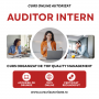 Curs online autorizat AUDITOR INTERN